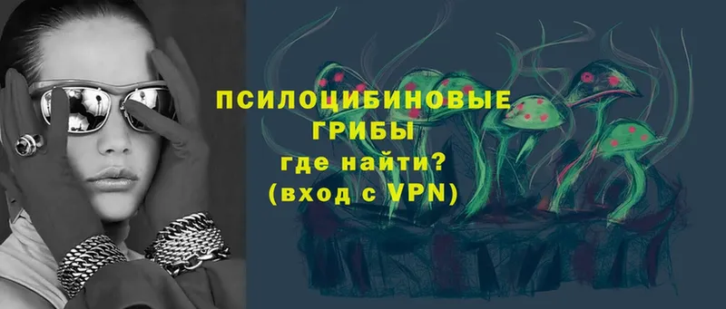 Псилоцибиновые грибы мицелий  Осташков 